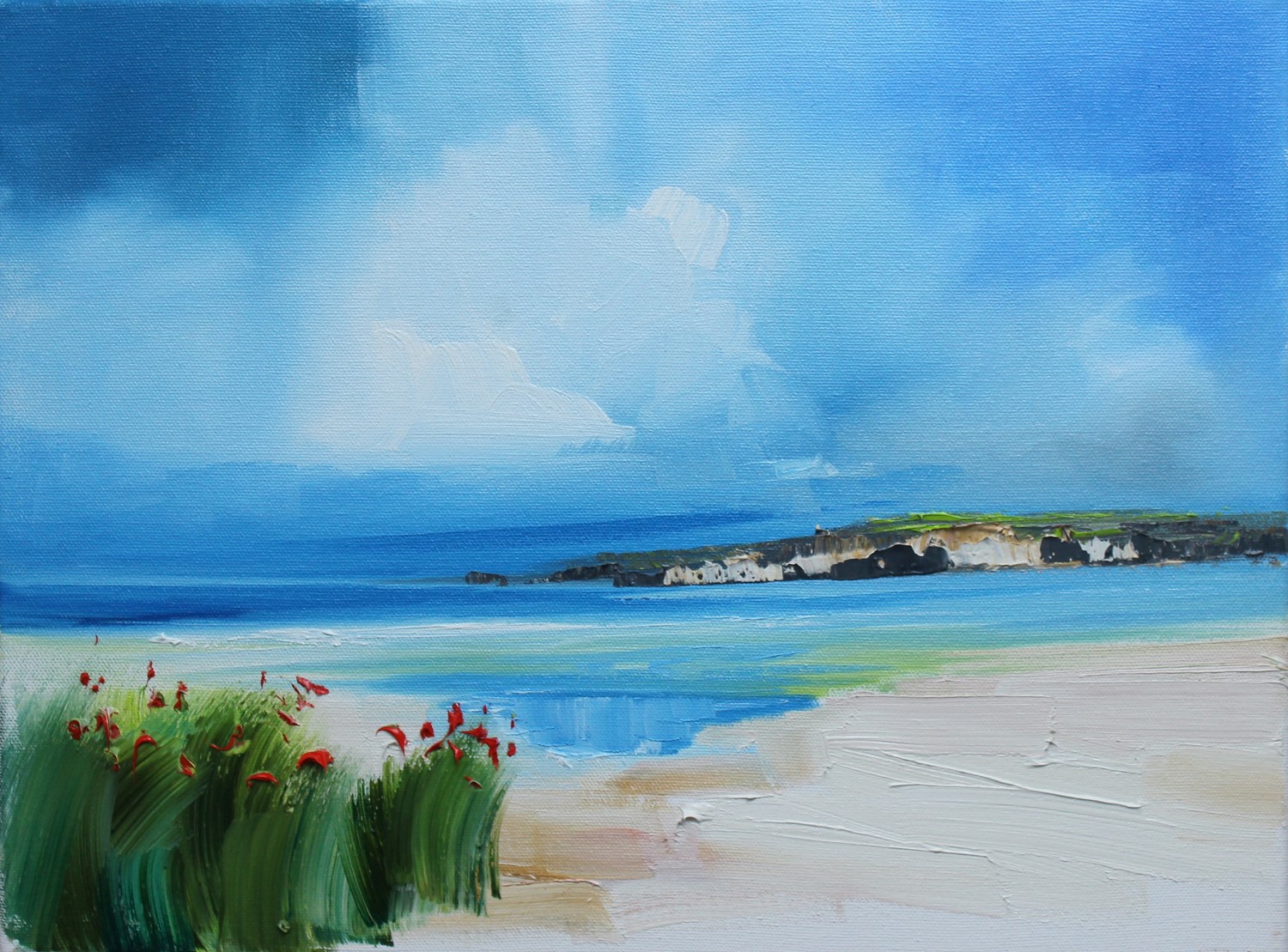 'Flowering poppies on sandy shores' by artist Rosanne Barr